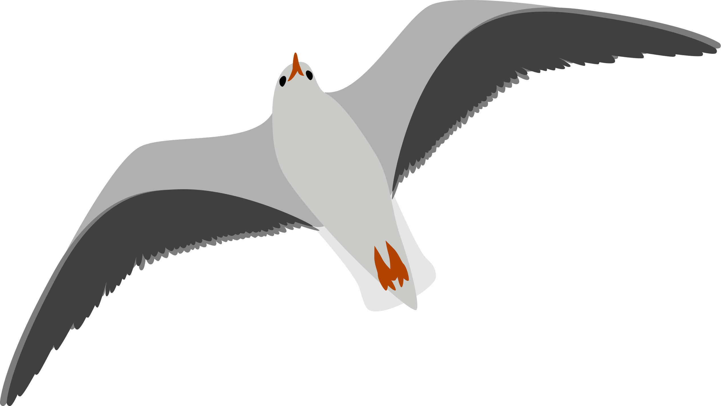 seagull-left